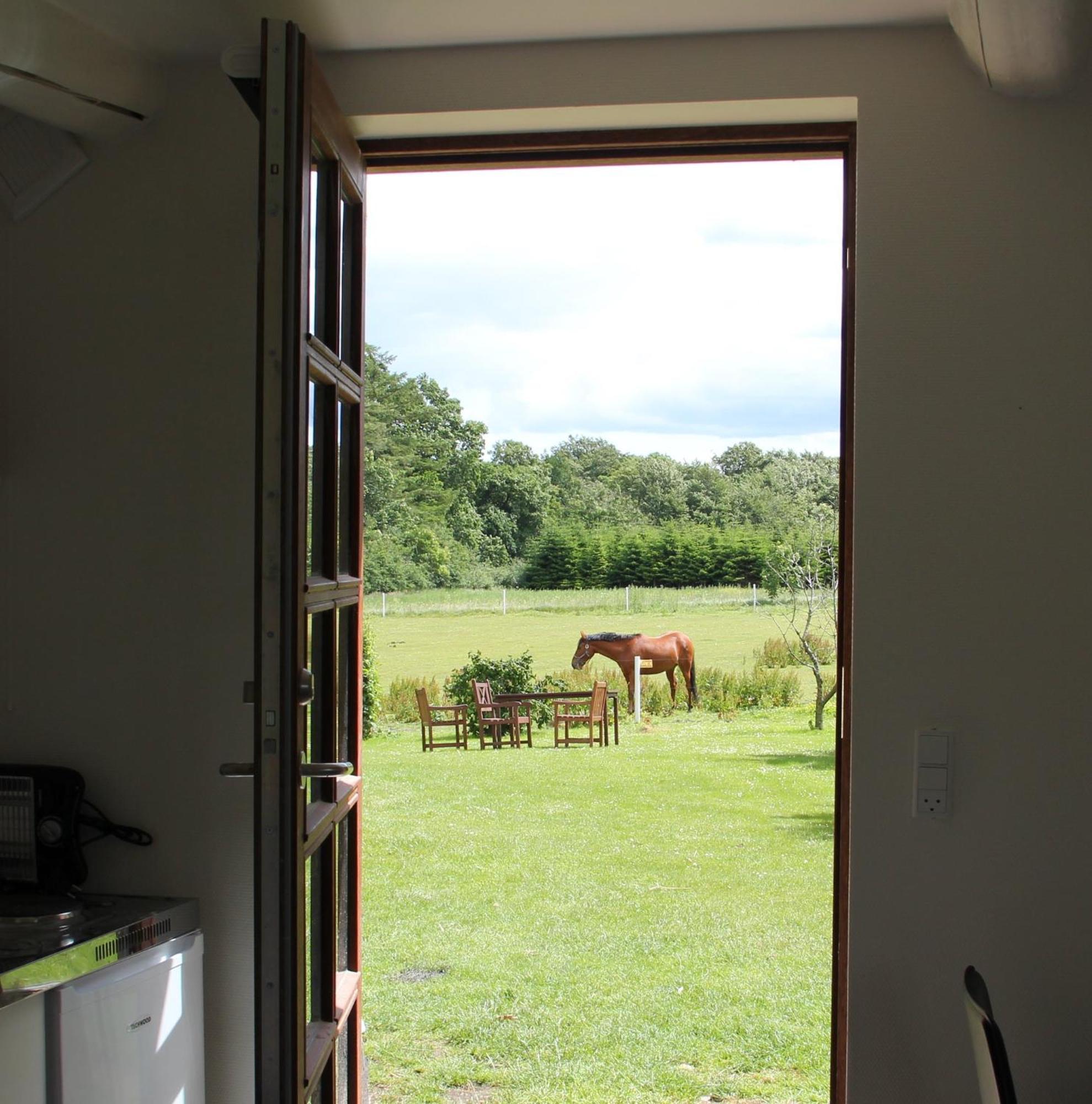 Børkop Munkebjerg Bed & Breakfast الغرفة الصورة