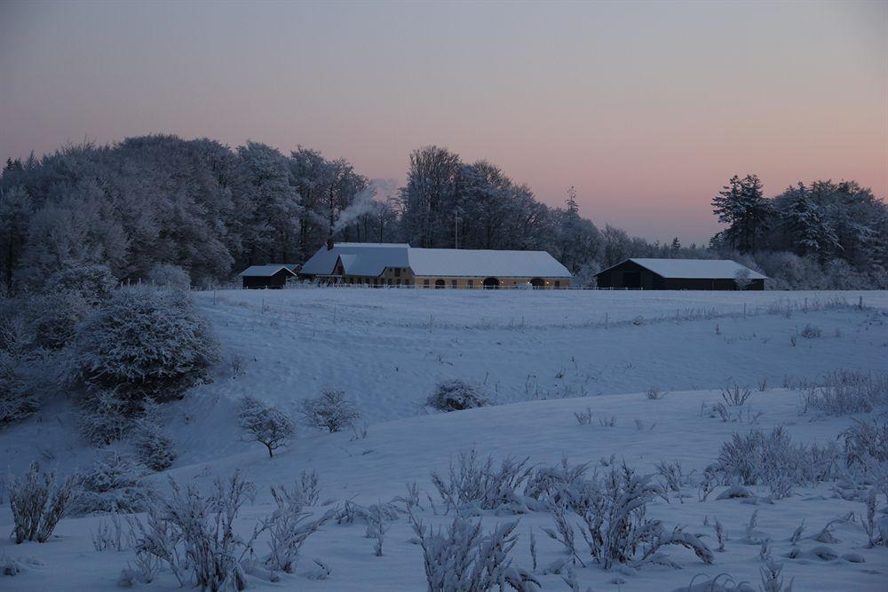 Børkop Munkebjerg Bed & Breakfast المظهر الخارجي الصورة