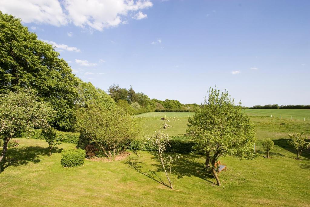 Børkop Munkebjerg Bed & Breakfast المظهر الخارجي الصورة